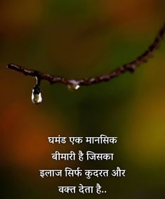 a water drop hanging from a tree branch with the words in english and an image of a