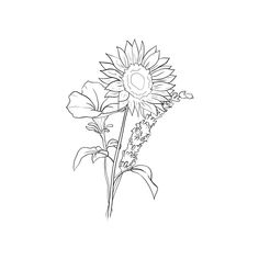 a black and white drawing of a sunflower