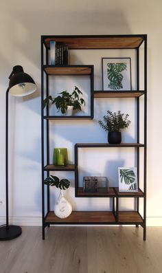 a book shelf with plants and pictures on it in a room that is painted white