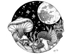 an ink drawing of mushrooms and stars in the night sky