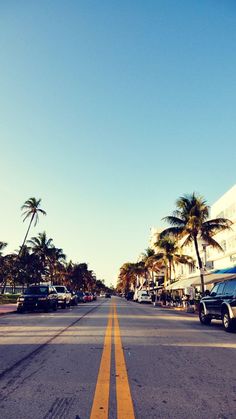 an empty street lined with parked cars and palm trees