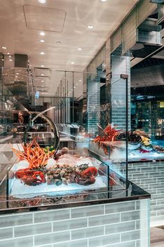 a glass display case filled with lots of food