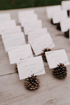 pine cones and place cards are laid out on the table