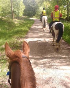 two people riding horses down a dirt road