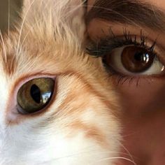 a close up of a person's face with an orange and white cat in the foreground