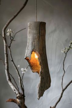 a tree branch with a light hanging from it's end and some branches in the background