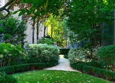 a garden with lots of trees and bushes in front of a house on a sunny day