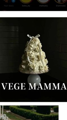 an image of a wedding cake with the words vege mamma on it