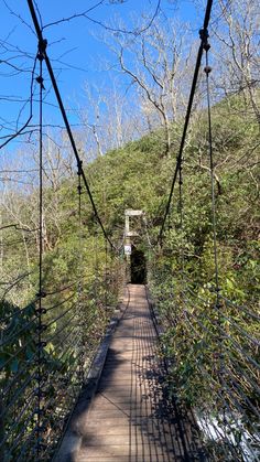 a suspension bridge in the woods on a sunny day