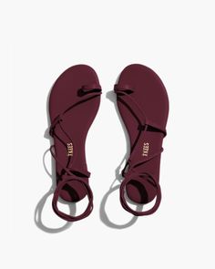 Trending Sandals, Stylish Sandals, Cute Sandals, Lace Up Sandals, Women's Footwear, Shoe Game, Sandals Summer, Black Sandals, Nice Shoes