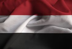 the flag of egypt is depicted on an unbuttoned fabric textured with black, white and red