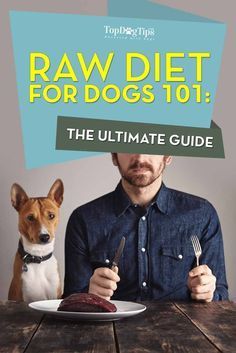 the ultimate guide to raw diet for dogs 101