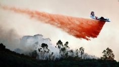 an airplane dropping water on to the trees