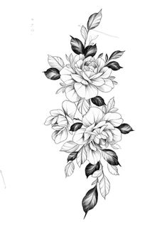 a black and white drawing of flowers with leaves on the bottom half of the image