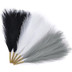 four black, white and grey feathers are arranged in the shape of an arrow on a white background