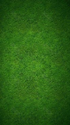 green grass texture background with space for text or image