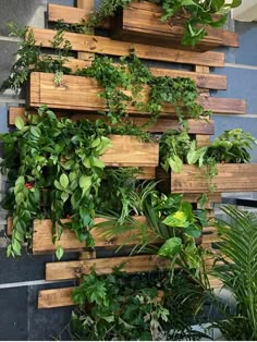 a vertical garden wall made out of wooden pallets with plants growing on top and below