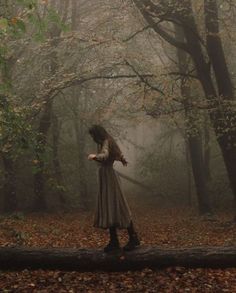 a person standing on a log in the middle of a forest with leaves all around