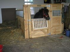 a horse is standing in the stable with its stall open