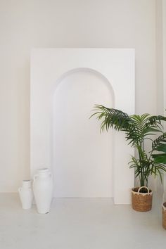 there are three potted plants next to each other in front of a white wall