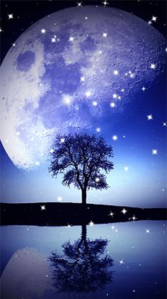 a tree sitting in the middle of a lake under a full moon with stars on it