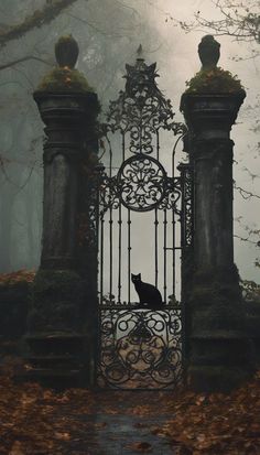 a black cat sitting on top of a gate in the middle of a forest filled with leaves