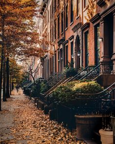 an autumn scene with leaves on the ground and stairs leading up to several brownstone buildings