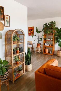 a living room filled with lots of potted plants next to a brown couch and bookshelf