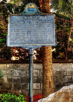 a blue sign sitting next to a tree in front of a stone wall and palm trees