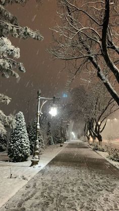 the street is covered in snow at night