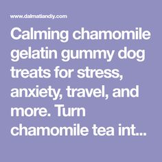 Calming chamomile gelatin gummy dog treats for stress, anxiety, travel, and more. Turn chamomile tea into yummy portable easy to serve homemade dog treats. Dog Gummies, Tea Dog, Pet Tips, Frozen Dog, Chamomile Tea, Pet Hacks, Dog Recipes, Homemade Dog, Cold Brew