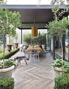 an outdoor dining area with potted trees and plants on the patio, surrounded by greenery