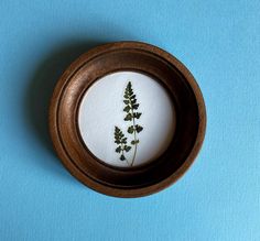 a small wooden bowl with some plants in it on a blue surface, top view