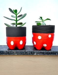 two potted plants with white polka dots on them sitting on a ledge next to a wall