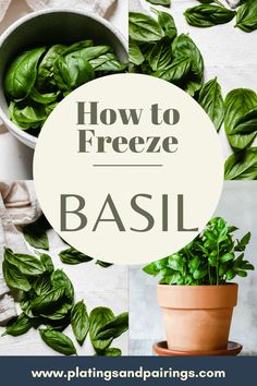 how to freeze basil in a pot with text overlay