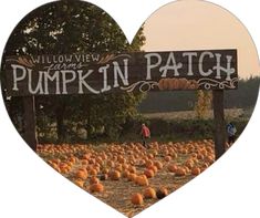 a heart shaped sign that says pumpkin patch in front of a field full of pumpkins