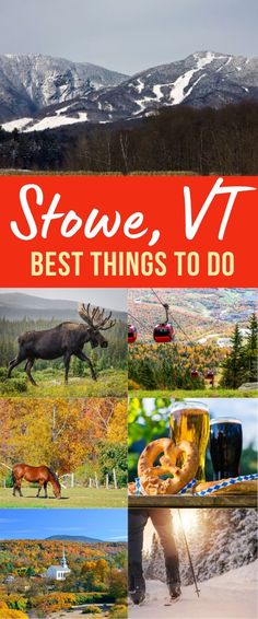 the cover of stave, v's best things to do book with pictures of mountains and trees