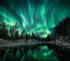 the aurora bore is reflected in a lake surrounded by trees