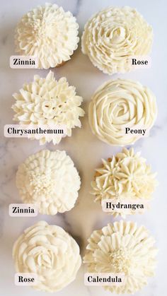 cupcakes with white frosting and flowers on them, labeled in different languages