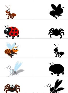 the different types of bugs and insects are shown in black and white, including one ladybug