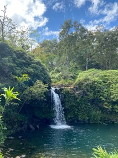 a small waterfall in the middle of a forest