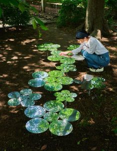 a man kneeling down next to lots of water lilies on the ground in front of trees