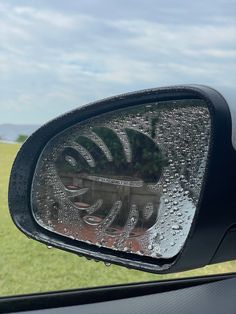 the side mirror of a car with rain drops on it and grass in the background