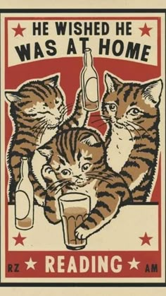 a poster with three kittens drinking beer and the caption reading he washed he was at home