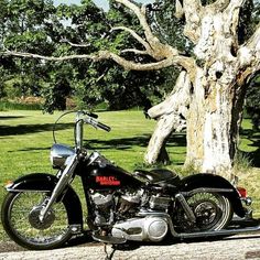 a black motorcycle parked next to a tree on a road in front of a field