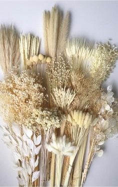 dried flowers are arranged on a white surface