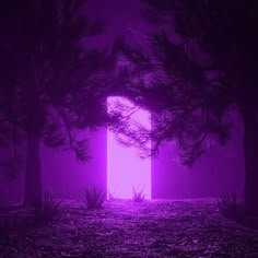 an open door in the middle of a forest with purple light coming from it's entrance