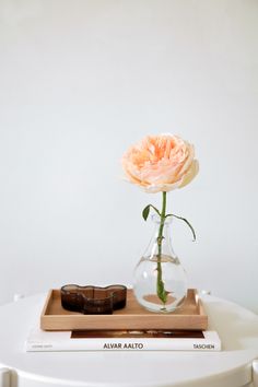 a flower in a vase sitting on top of a table