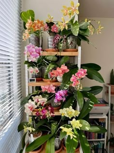 several potted plants are stacked on top of each other in front of a window