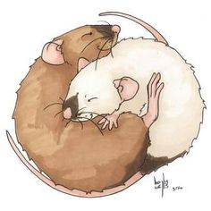 two brown and white mice sitting on top of each other in the shape of a circle